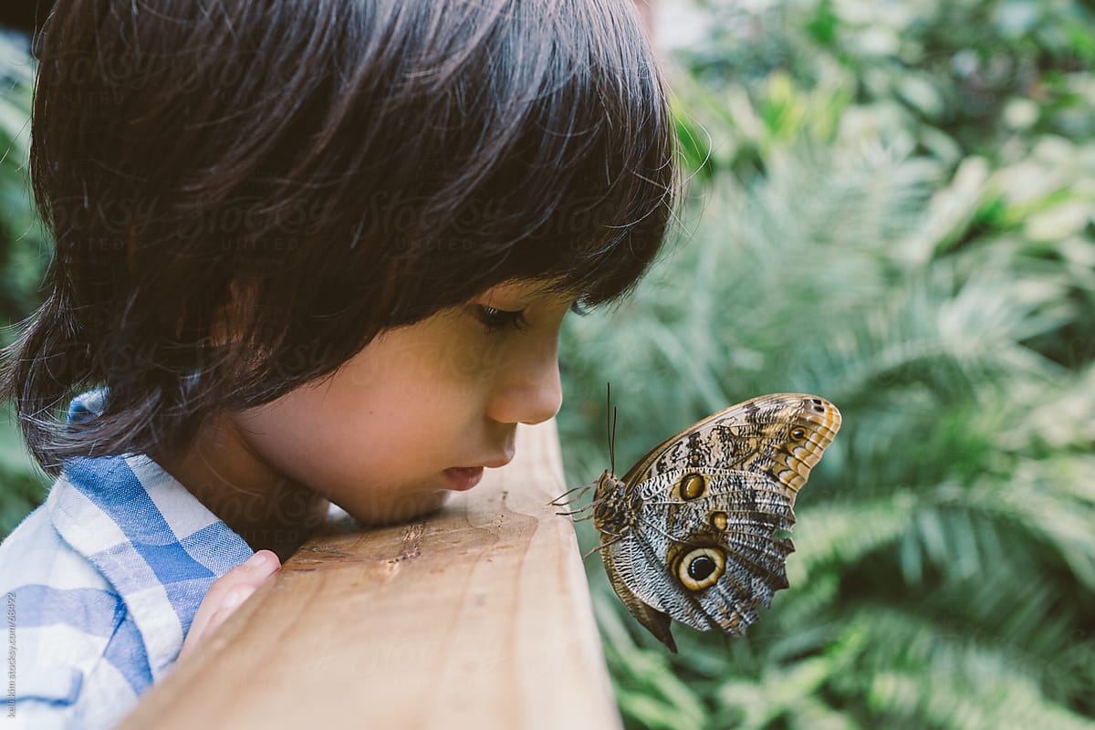A Young Boy Spends A Quiet Closeup Moment With Butterfly