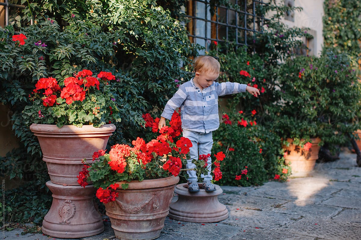 Little boy playing among the flowers