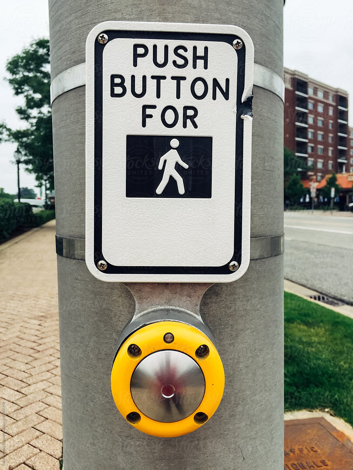 the pedestrian switch