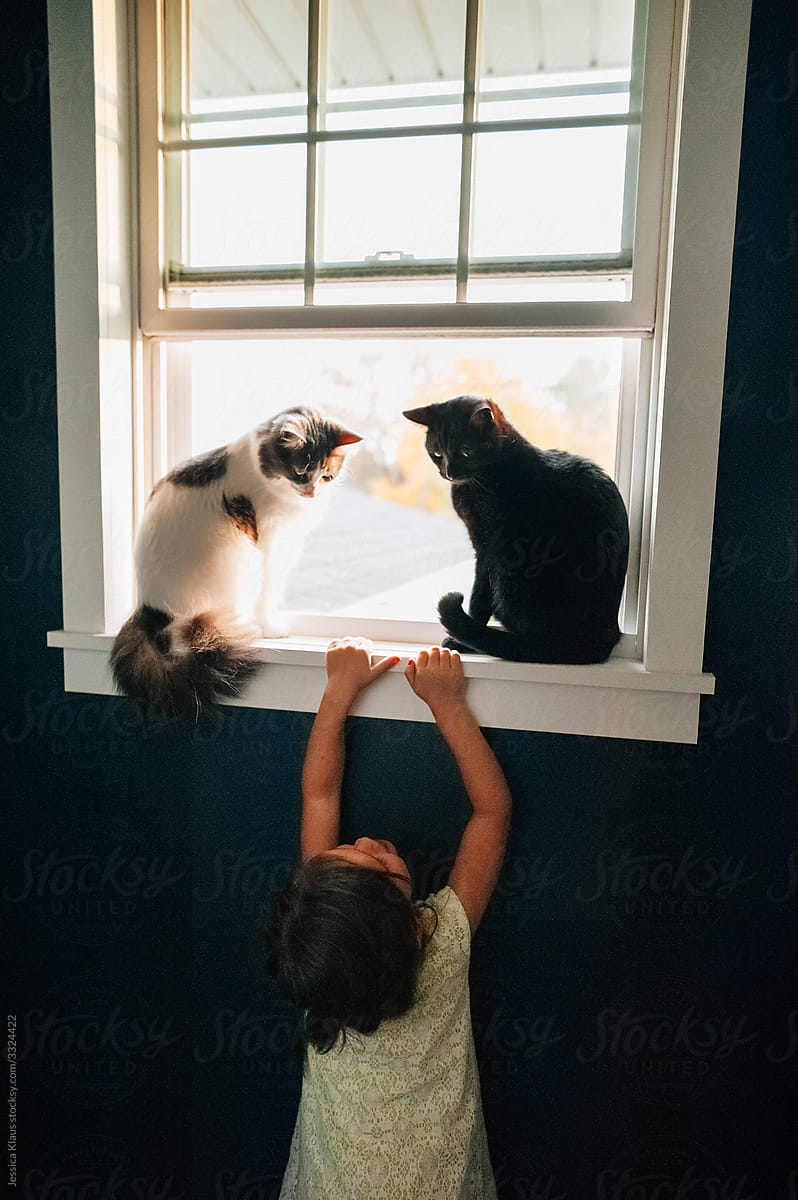 Little girl climbing up to see cats.