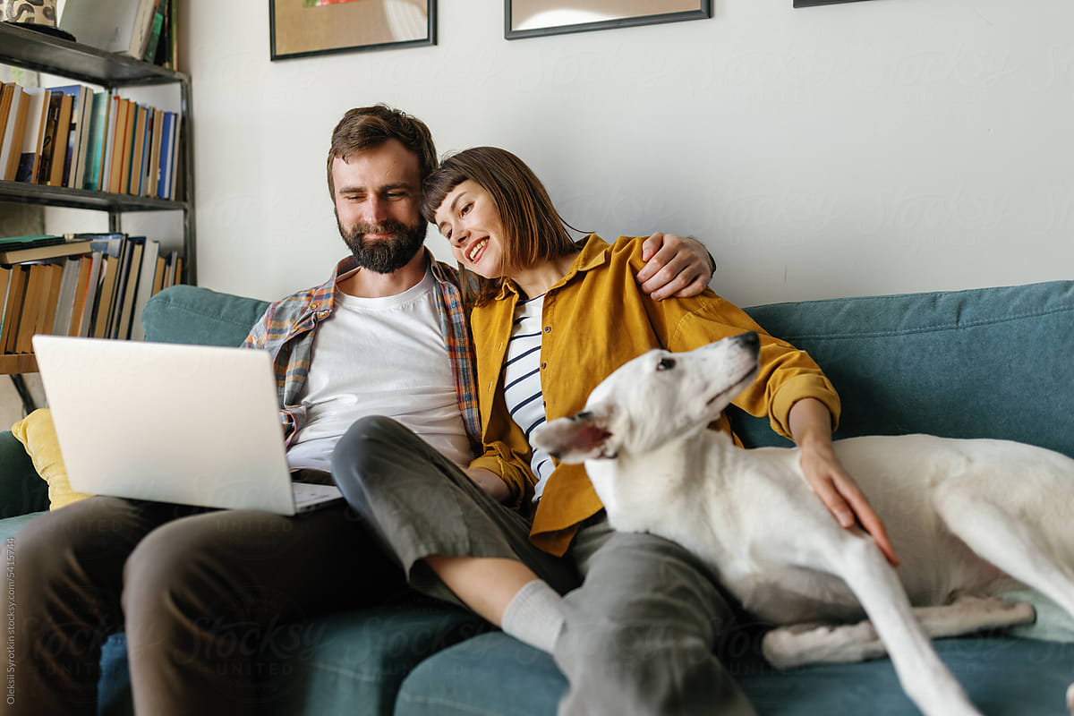 Laptop couple pet living room online happy
