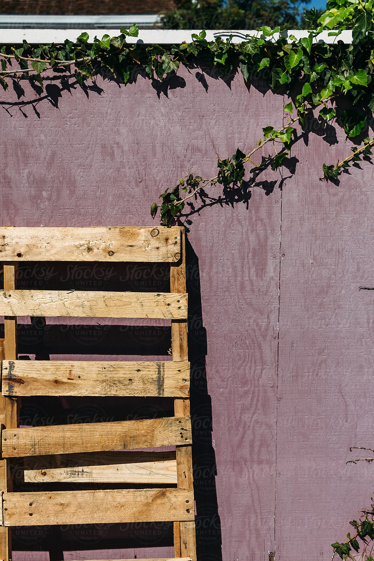 wood pallet against purple wall