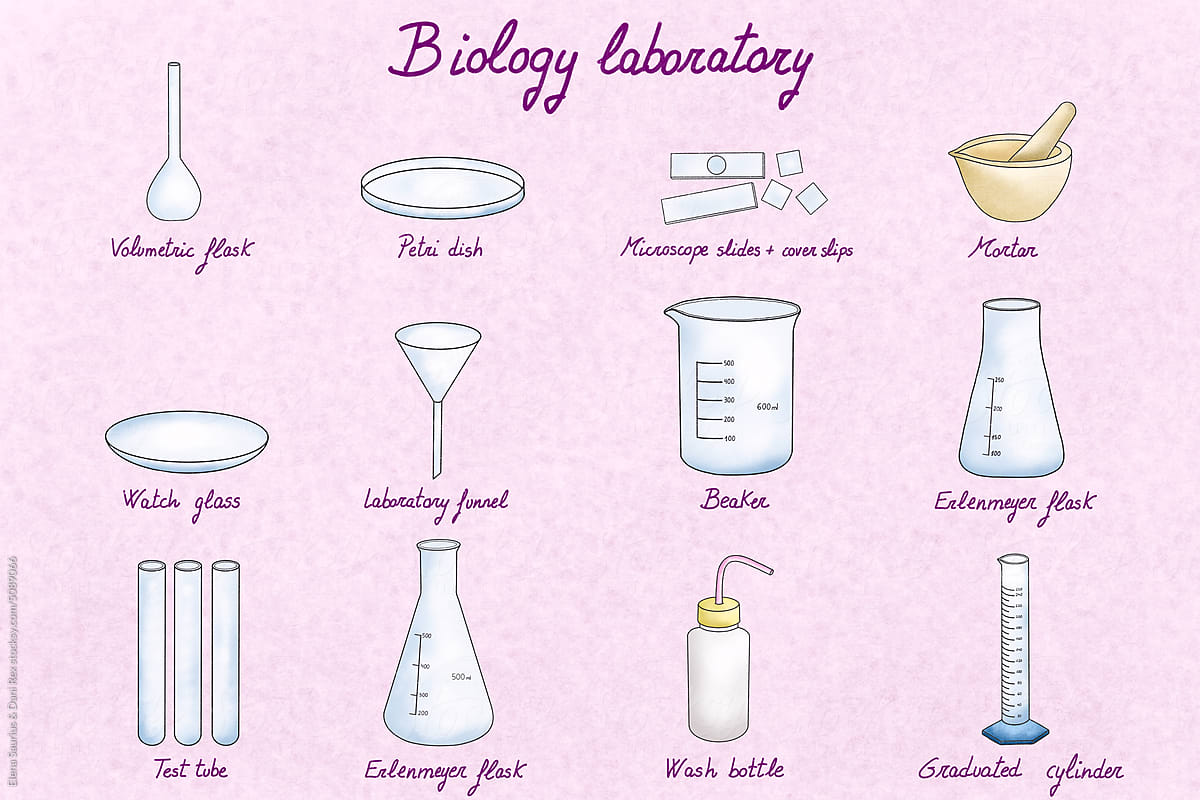 Illustration of chemistry and biology laboratory instruments set
