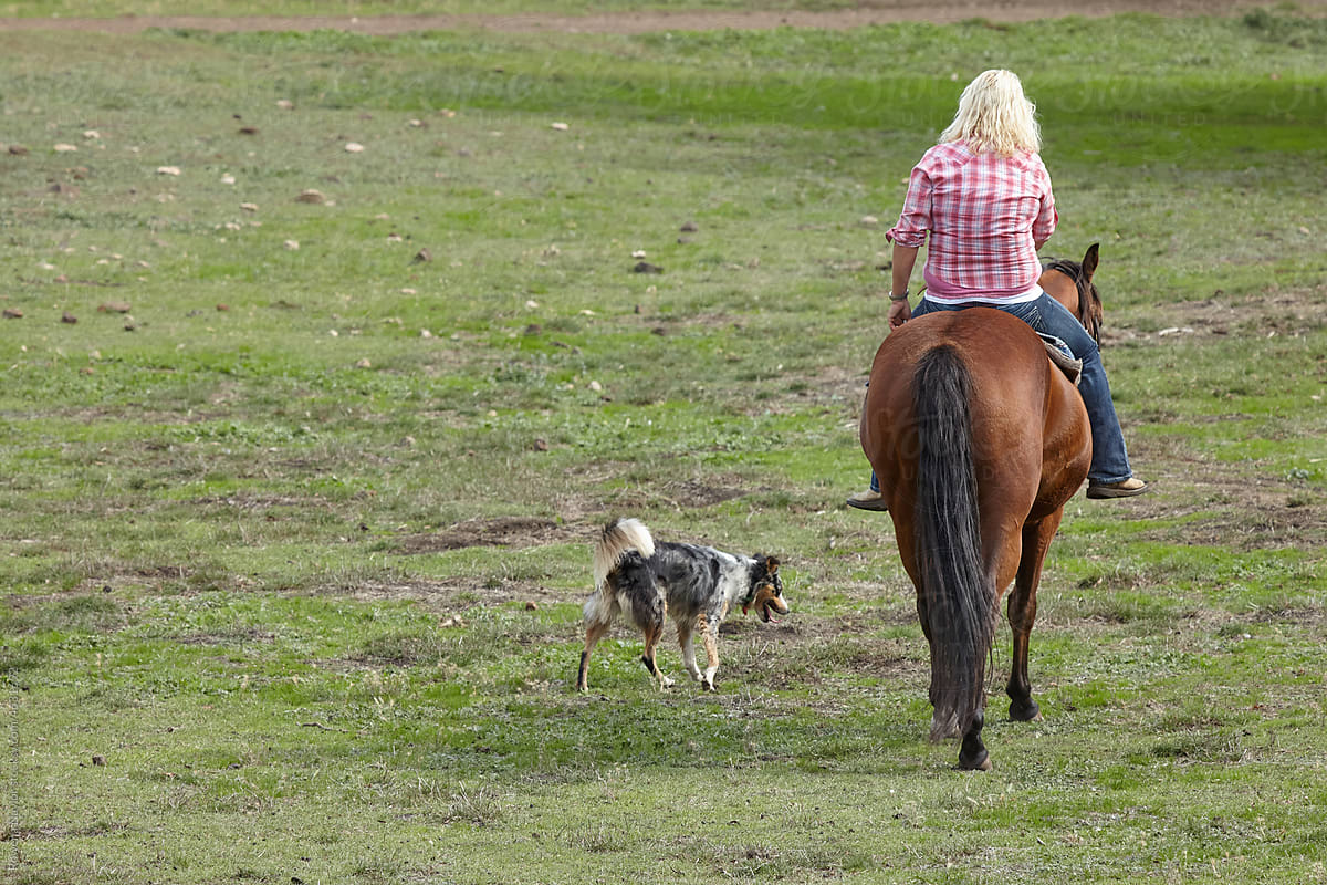 Farmer rides bareback alongside her dog
