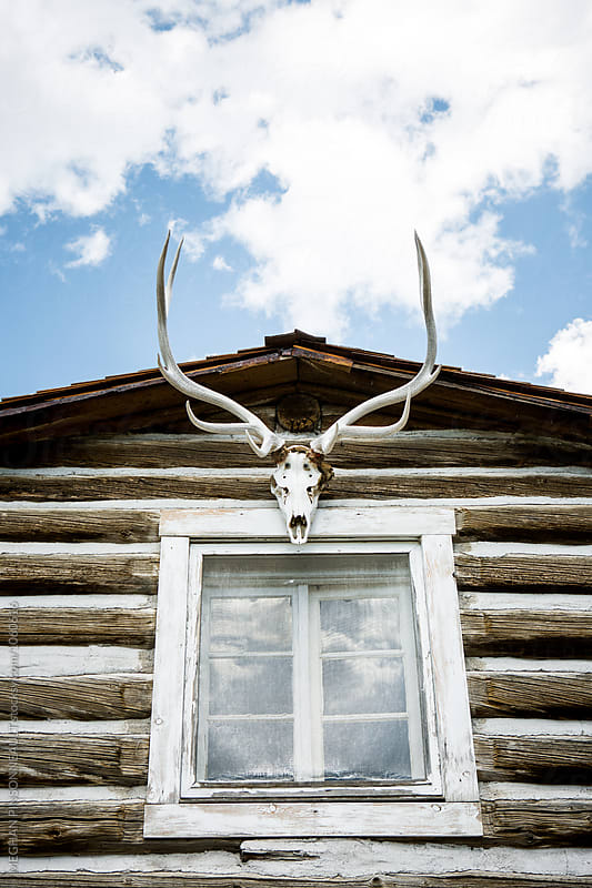 Historic Log Cabin with Skull and Antlers