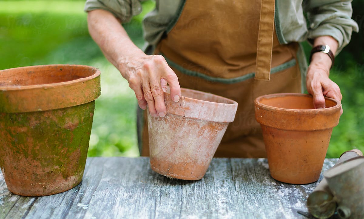 Woman handling pots in garden