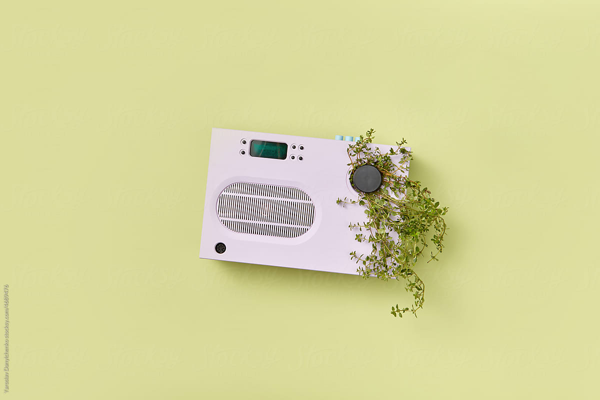Radio with green tropical plant