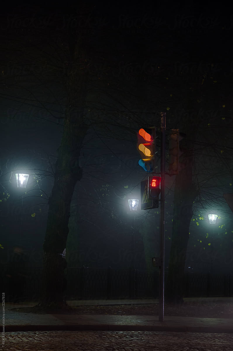 Traffic light on night street
