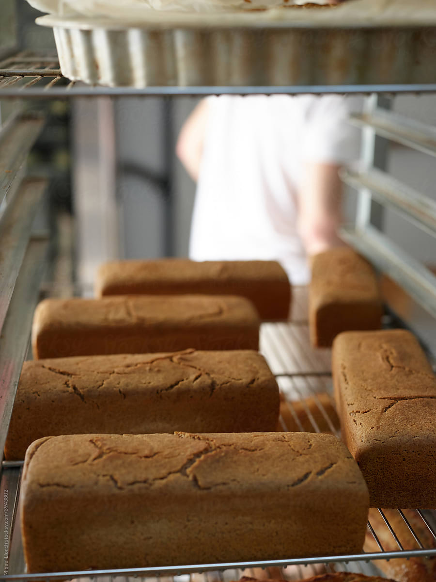 Loafs of molded bread in the bakery workshop