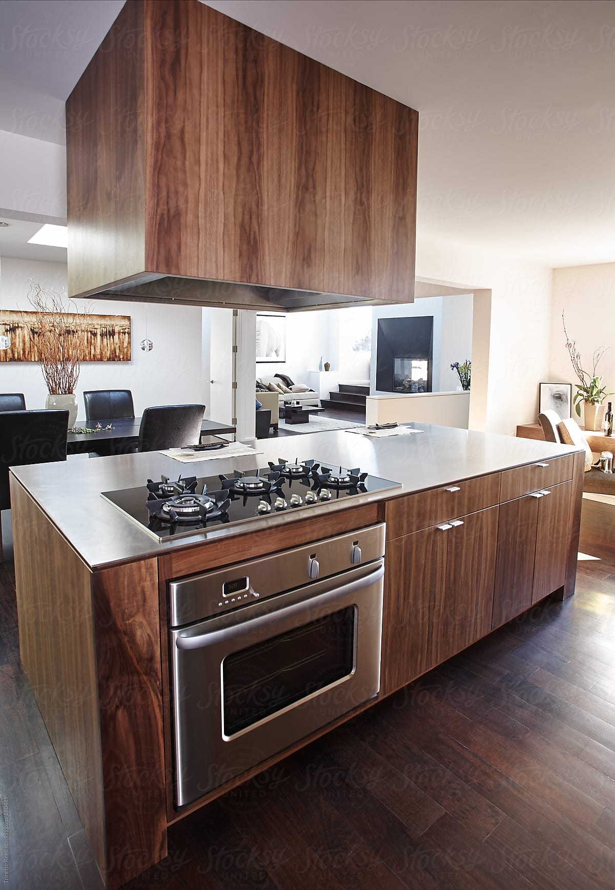 Modern Design kitchen in luxury custom home,