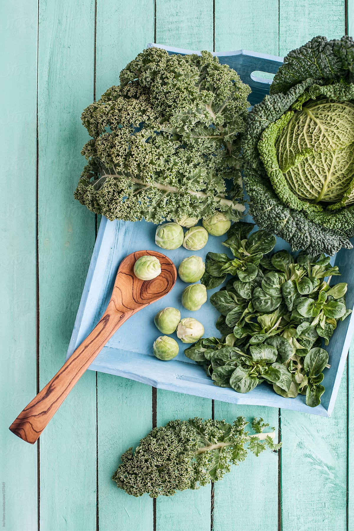 Food: Green Winter Vegetables, Brussels Sprouts,Cabbage, Kale an