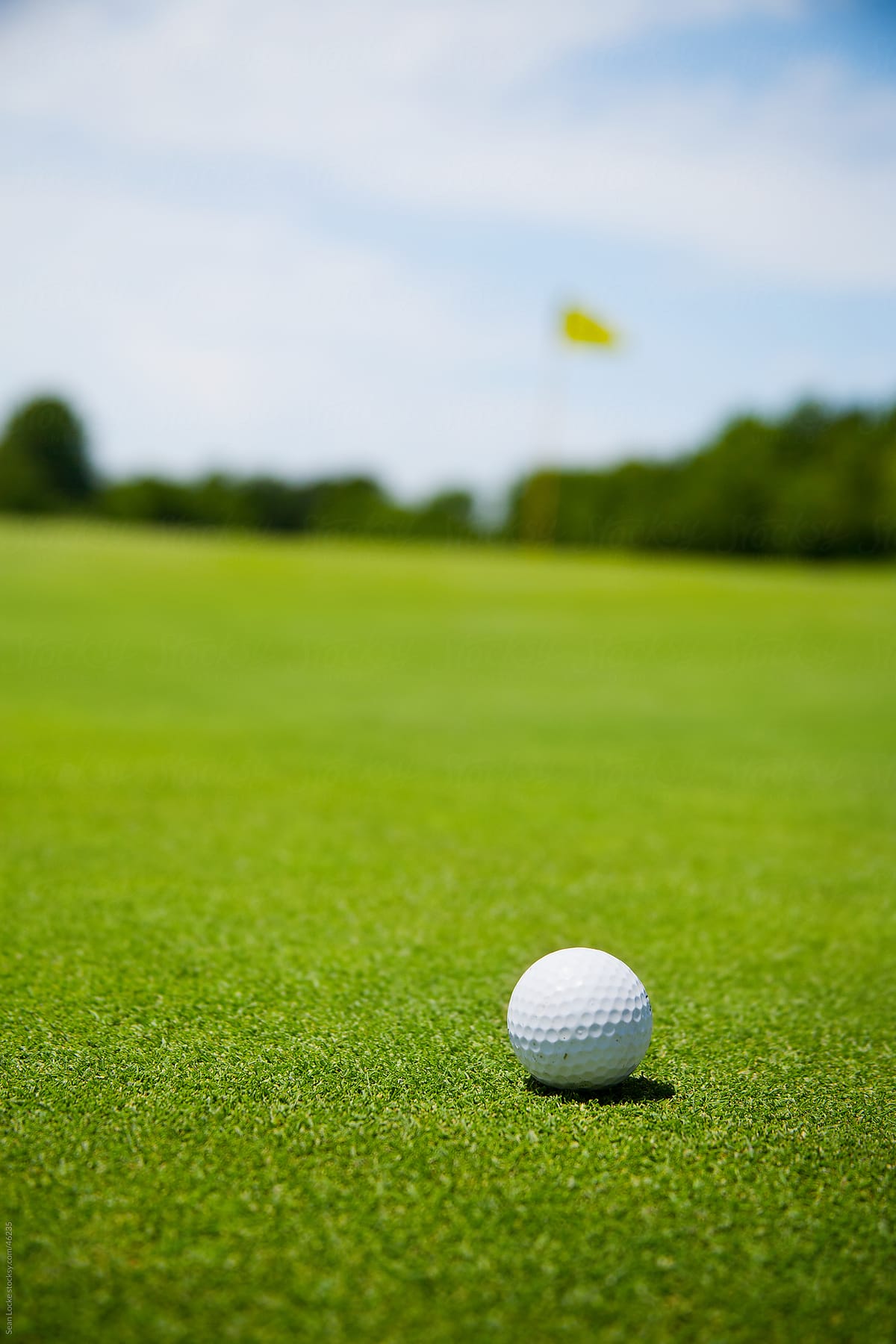 Golf: Golf Ball on Green