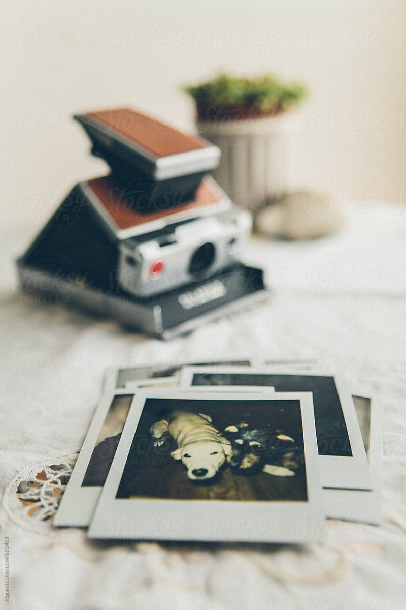 Polaroid photos and camera