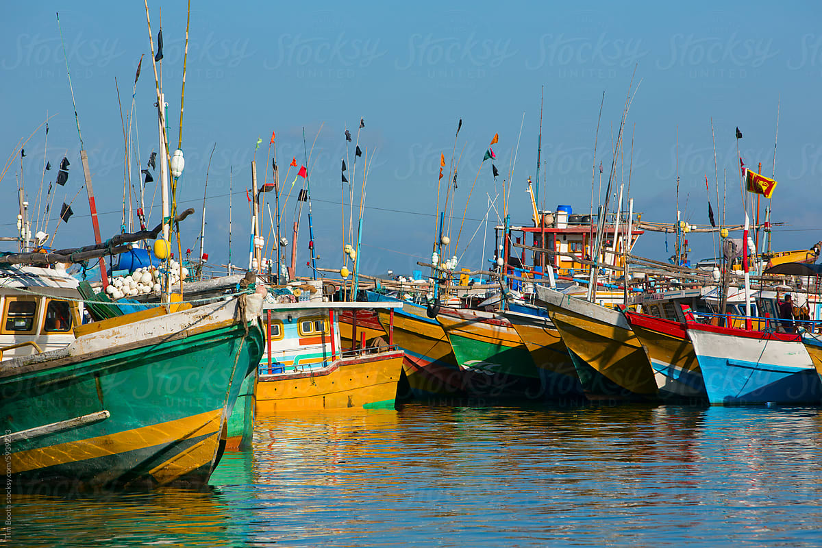 Fishing trawlers clustered in port