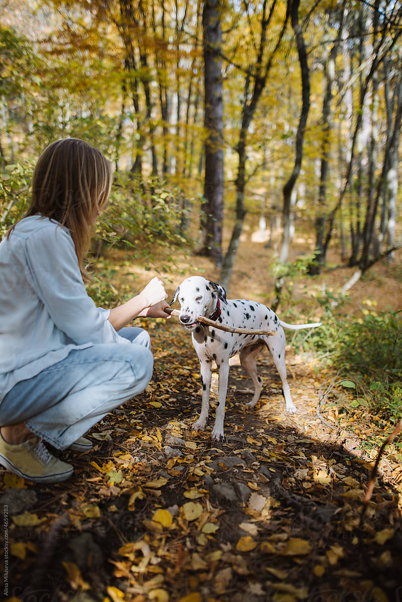 Unrecognizable woman playing with dog in autumn forest