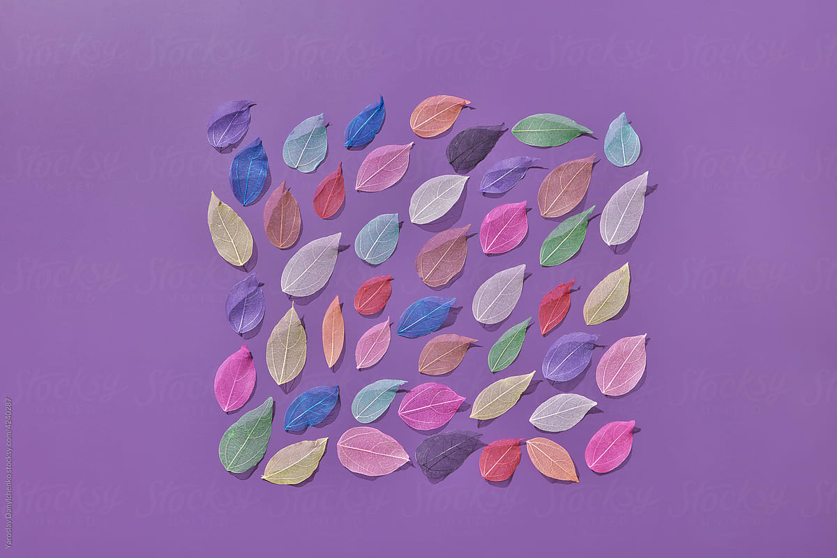 Square of colored leaves on violet background