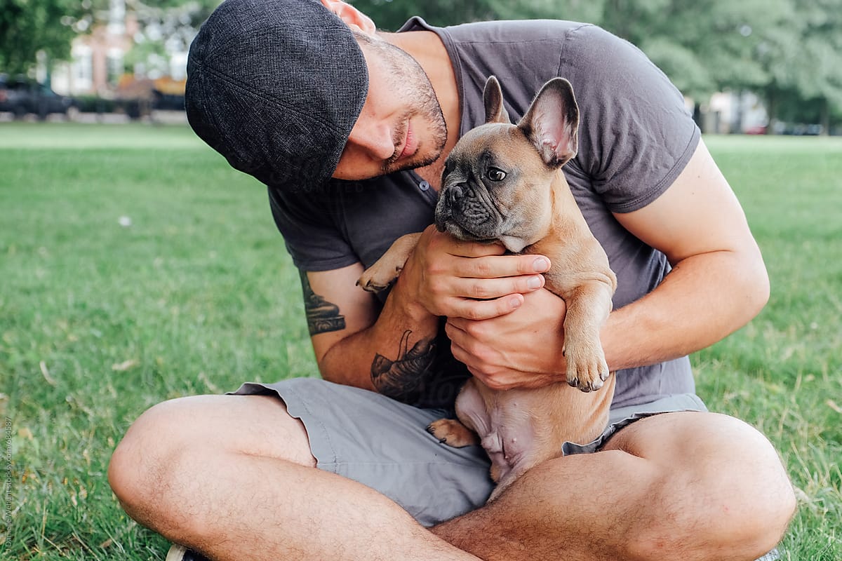 A french bulldog puppy being held and cuddled by a strong caucasian man.