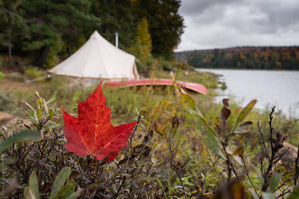 Fall Red Maple Leaf Campsite Bell Tent Canoe
