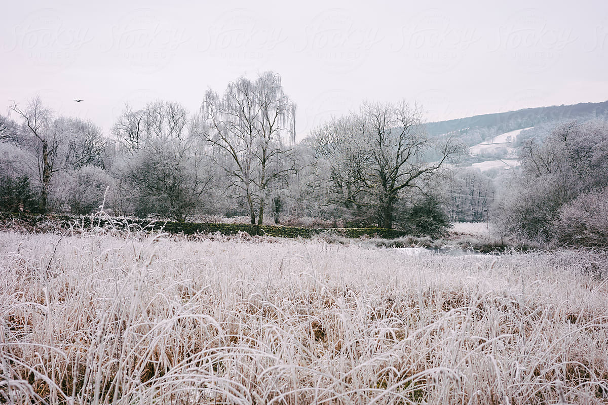 Frost covered trees and field in the Peak District