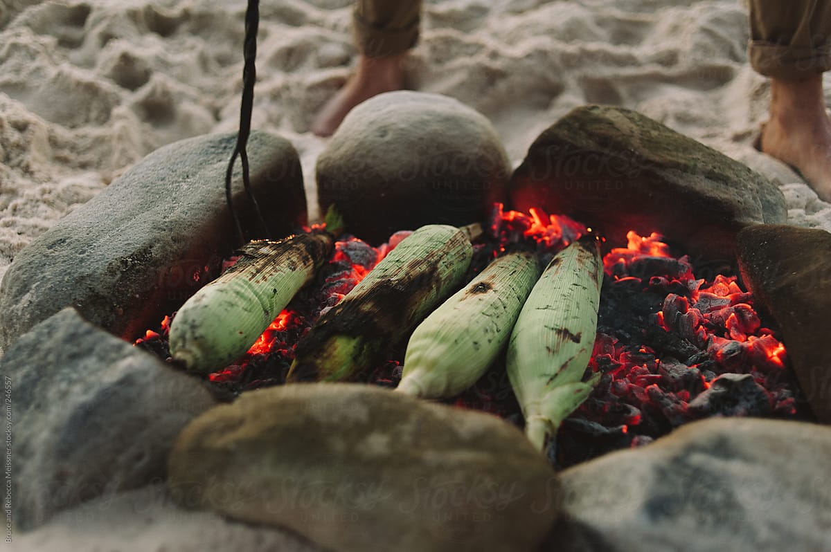 Cooking corn in the husk on an outdoor beach fire
