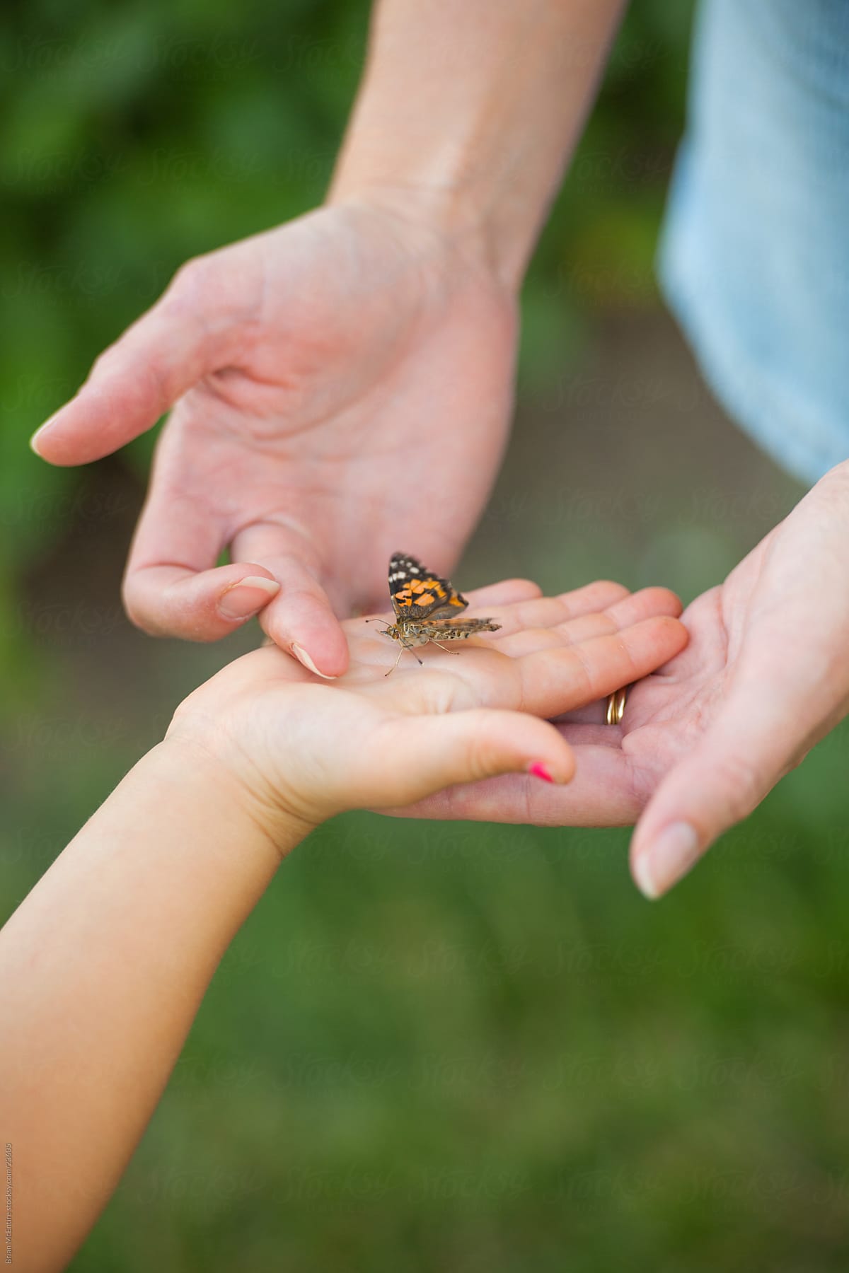 Mother and Daughters Hands Releasing Butterflies