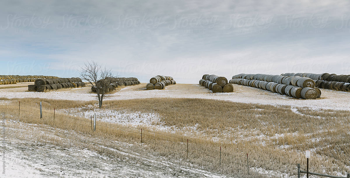 Hay Bale Landscape in South Dakota