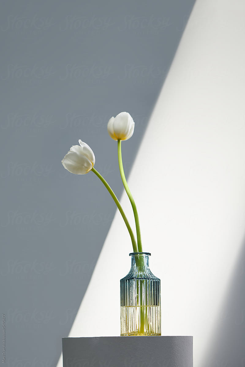 White tulips in color glass vase on white table on background