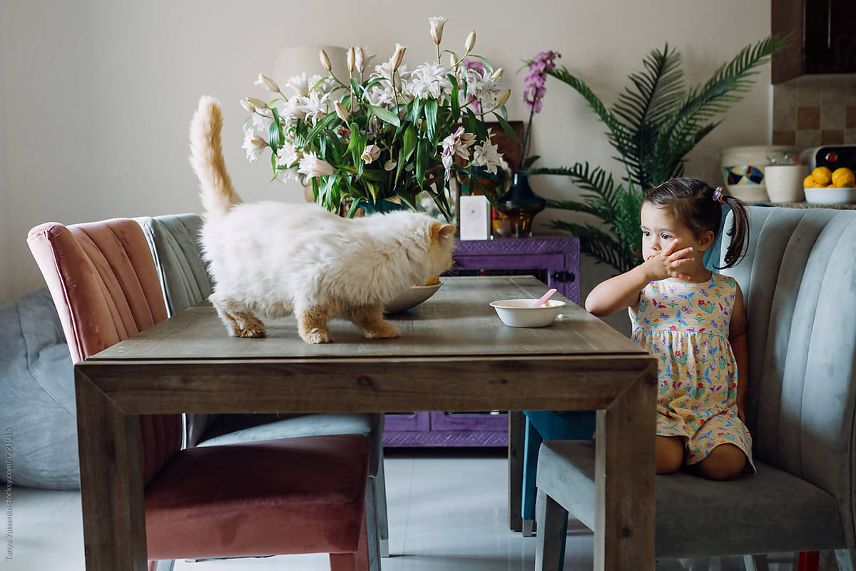 Little girl and a cat