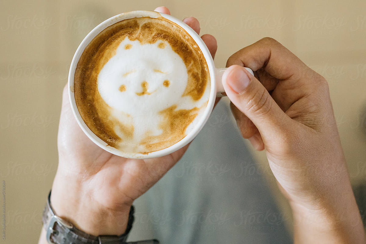 Latte art Cat