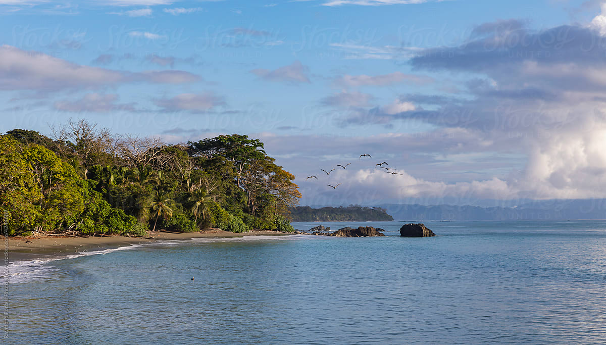 Birds fly at  Beach Landscape in Costa Rica