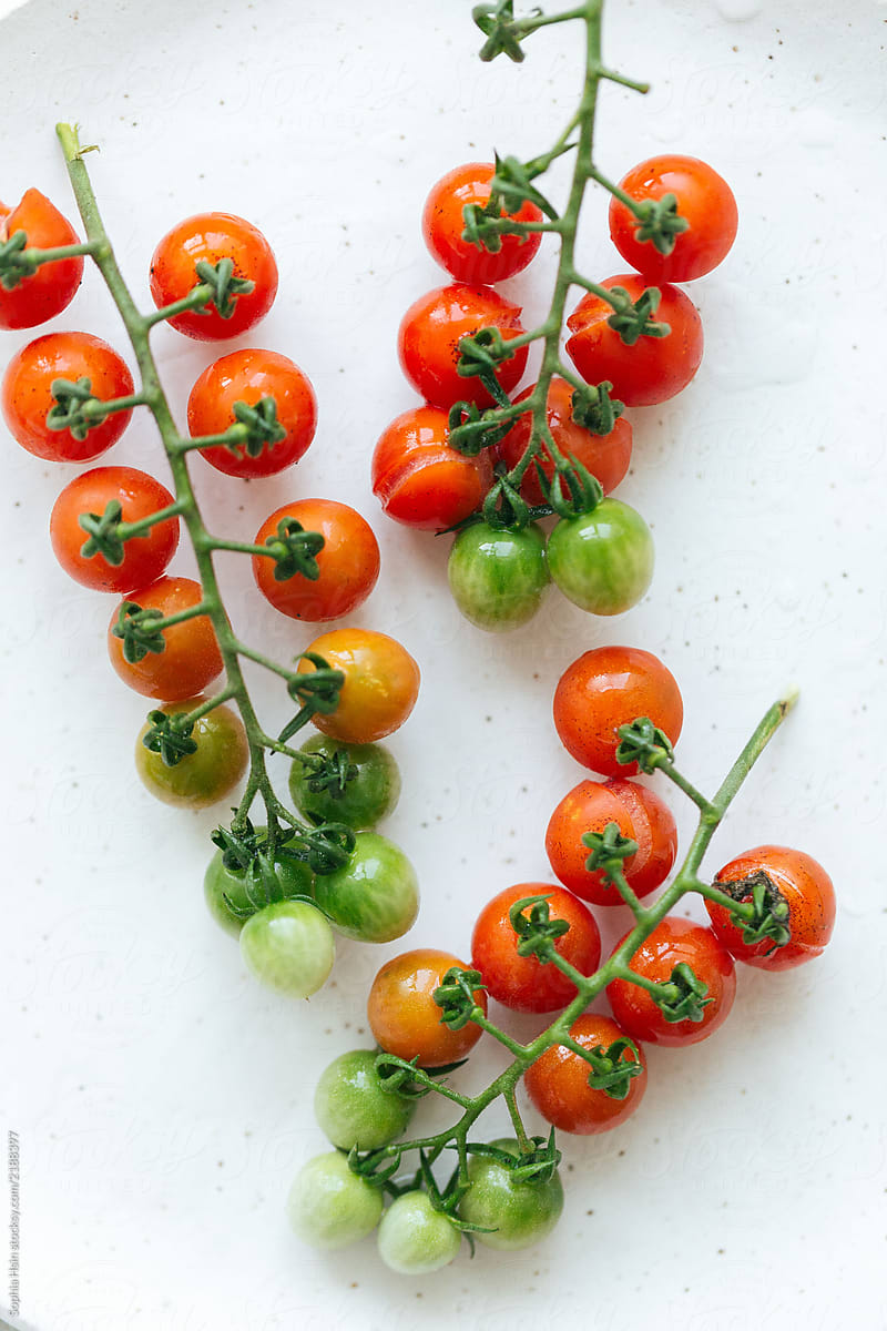 Colourful cherry tomatoes on the vine