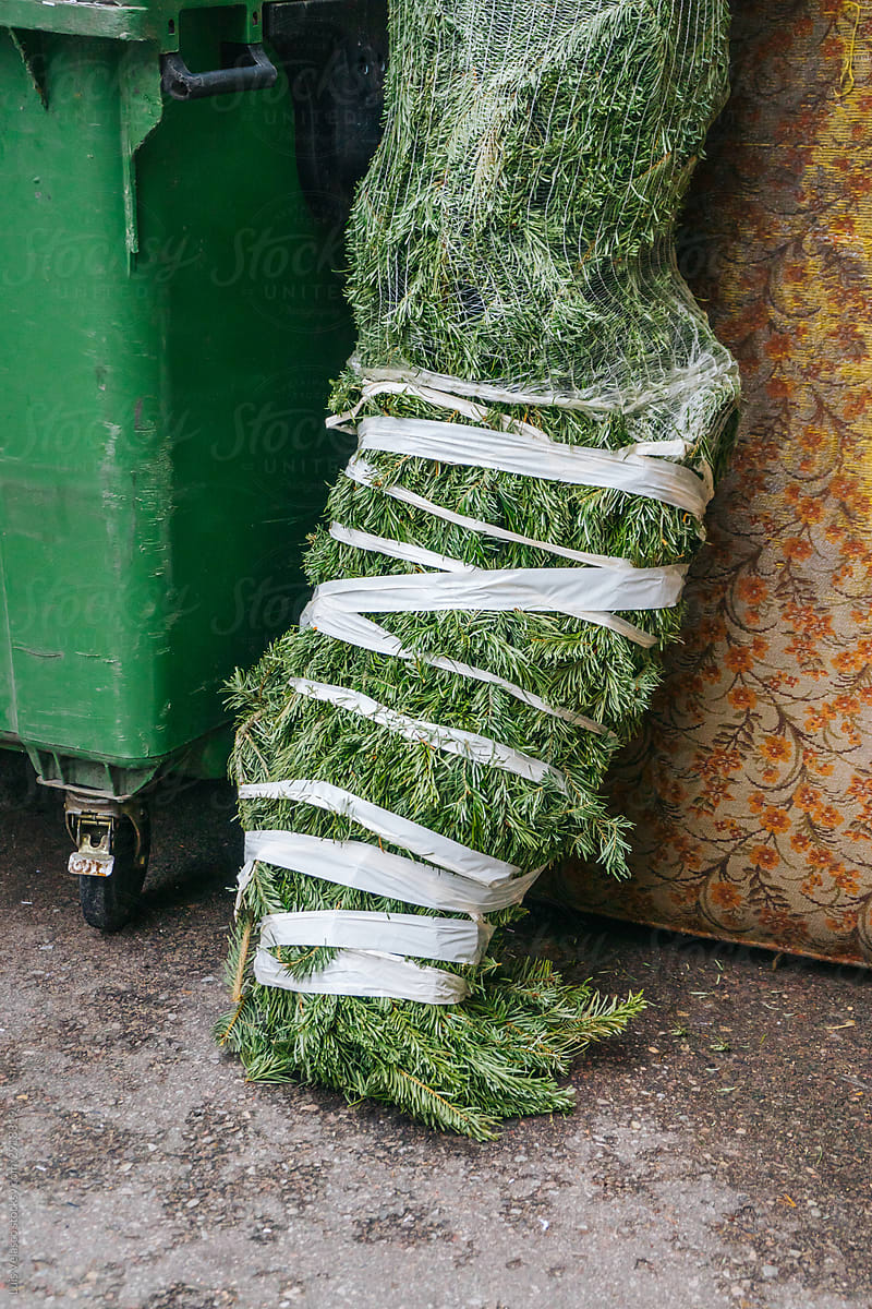 Packaged  Christmas Tree On The Trash.