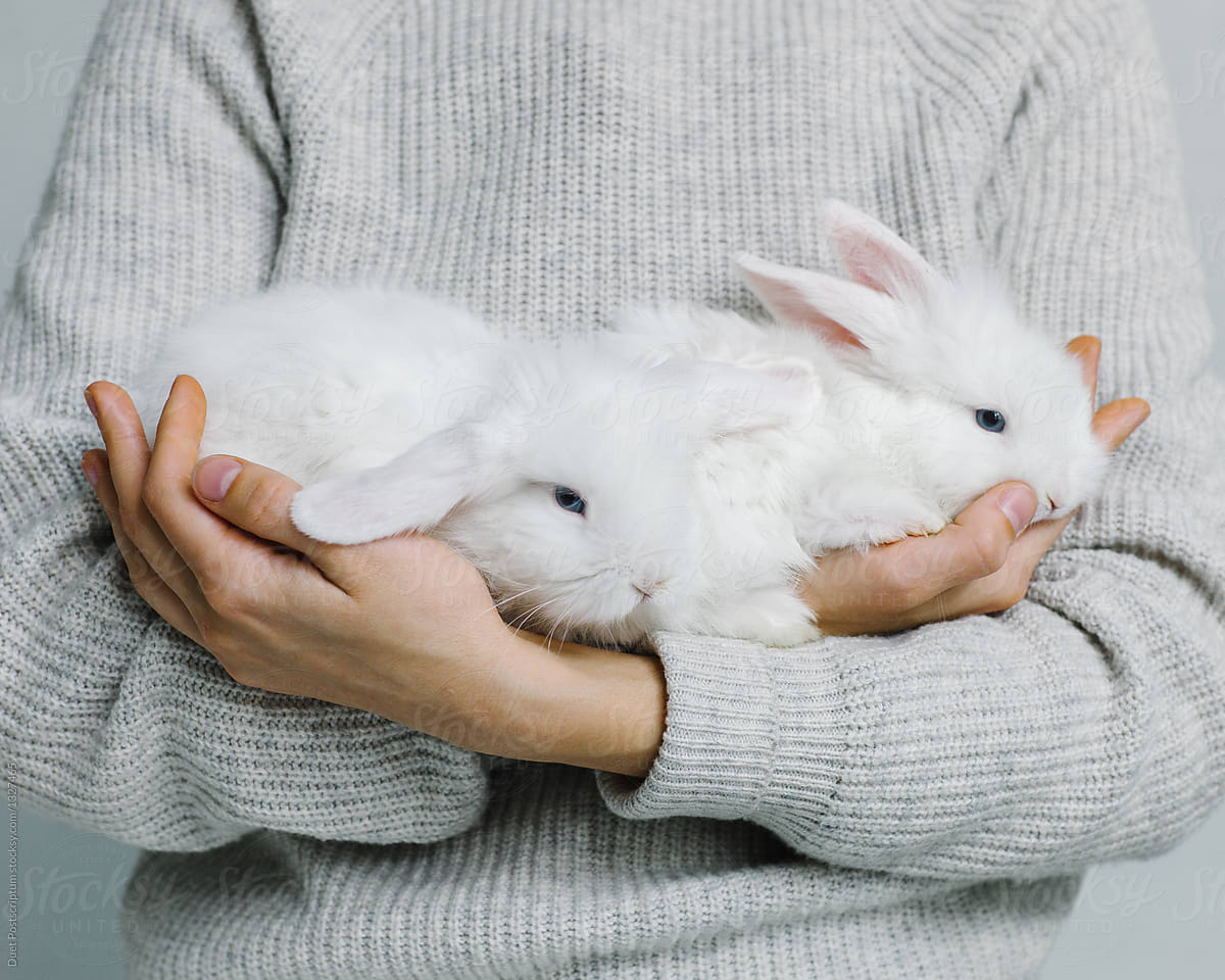 Female holding two rabbits