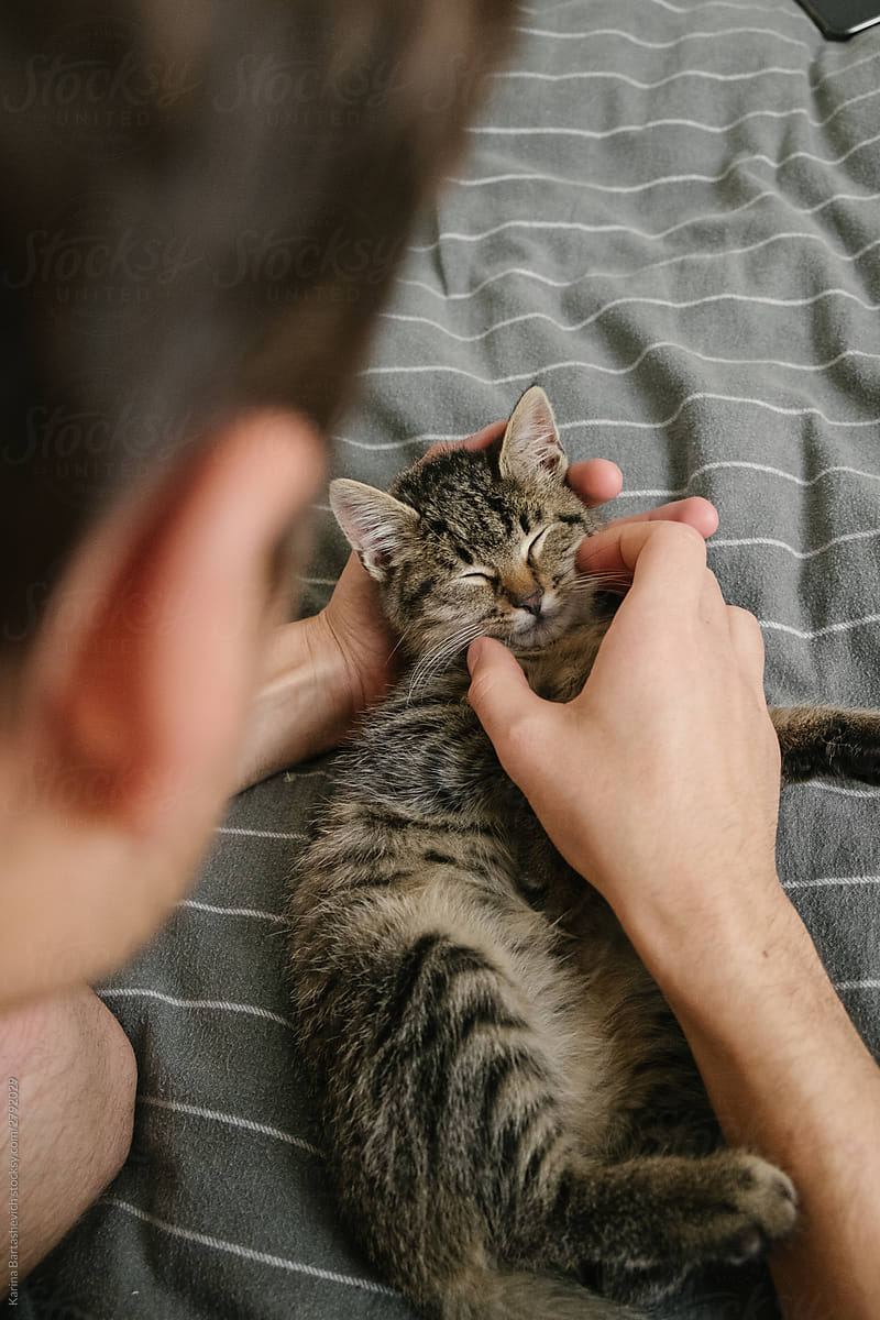 guy stroking a kitten\'s face while he sleeps