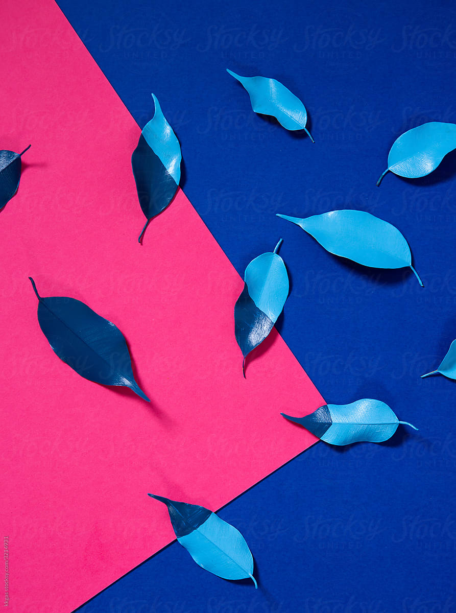 Blue leaves on pink paper