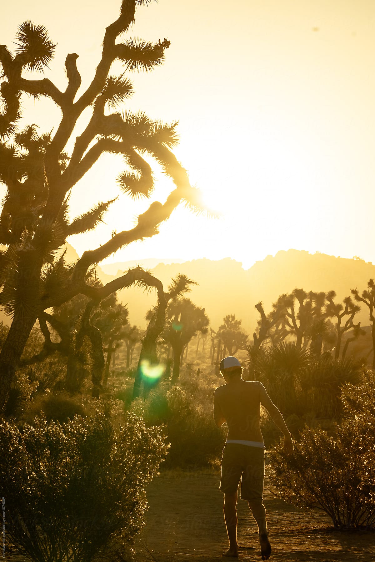 Morning stroll through the desert of Joshua tree