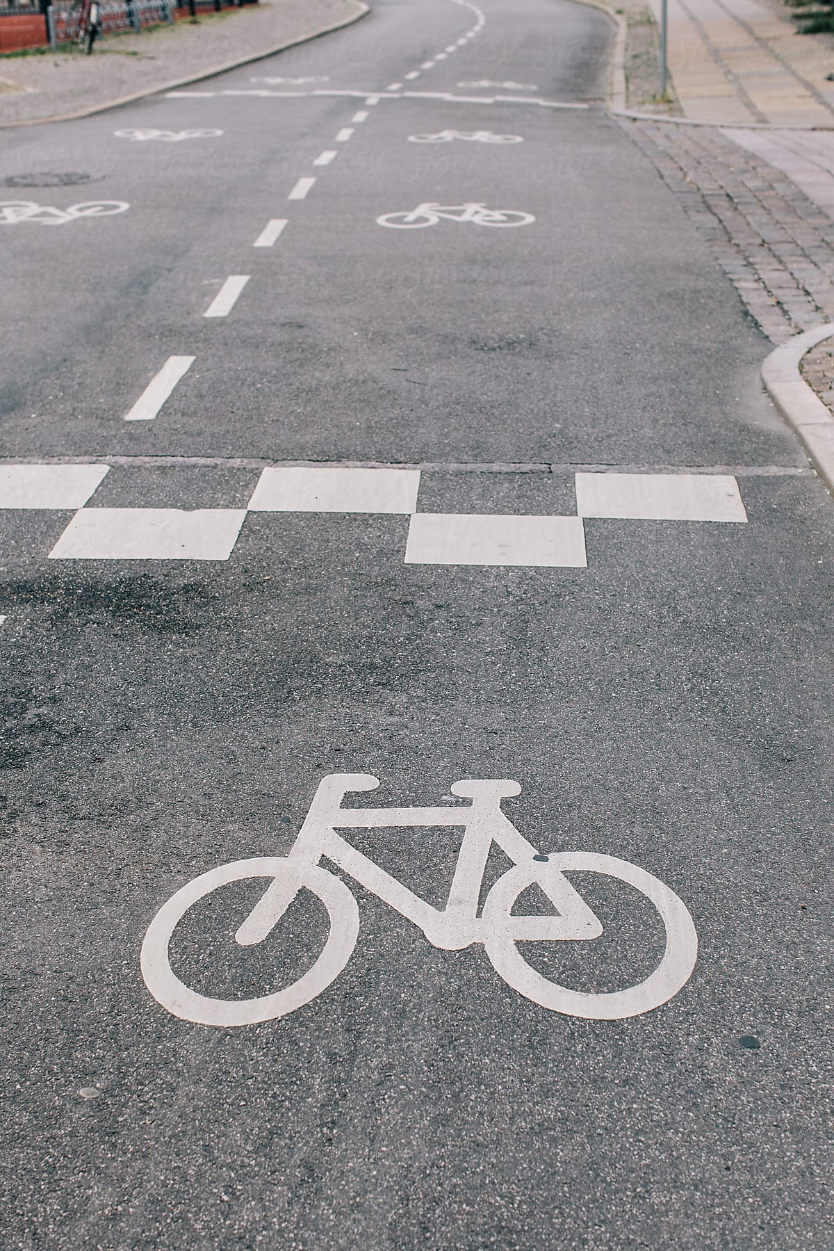 Bicycle lane sign on the asphalt