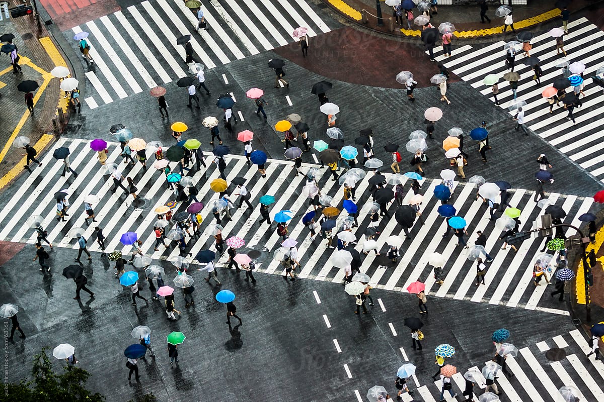 People with umbrellas at Shibuya Scramble Intersection in rain