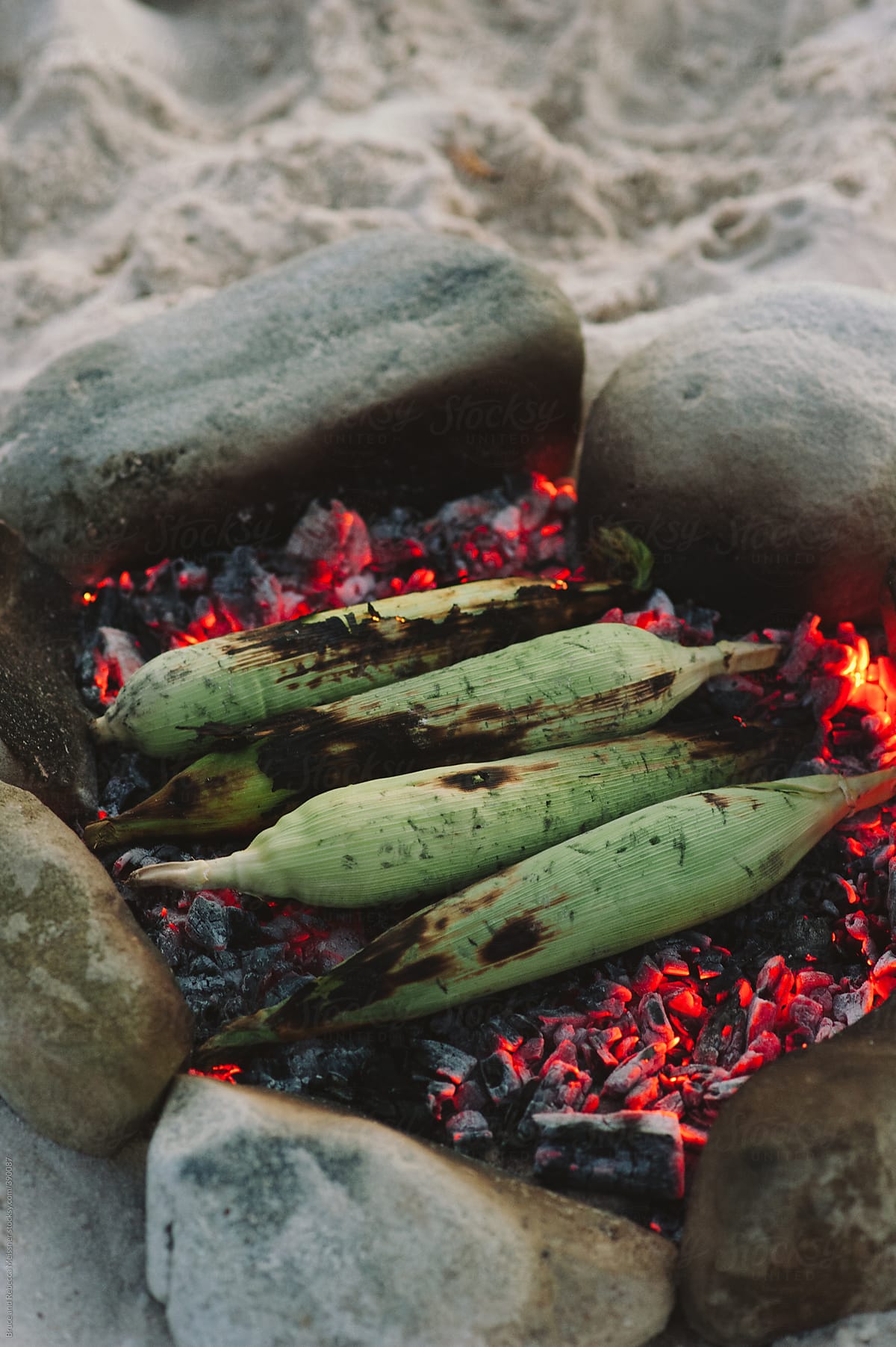 Corn cooking on a beach fire
