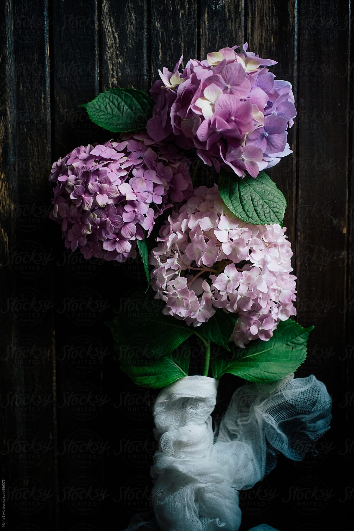 Bouquet of Hydrangea Flower