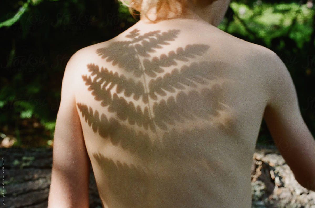 Shadow of a Fern on a Child\'s Back