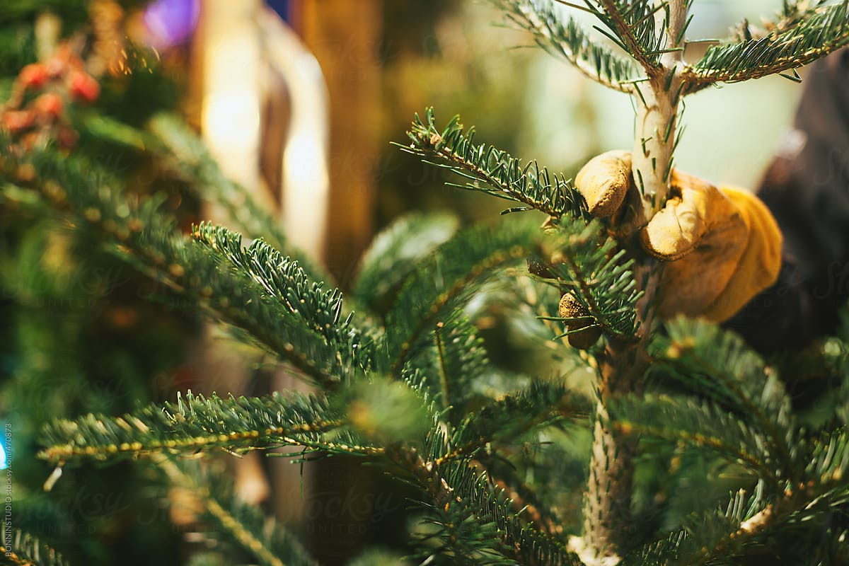 Closeup of Christmas tree on a marketplace.