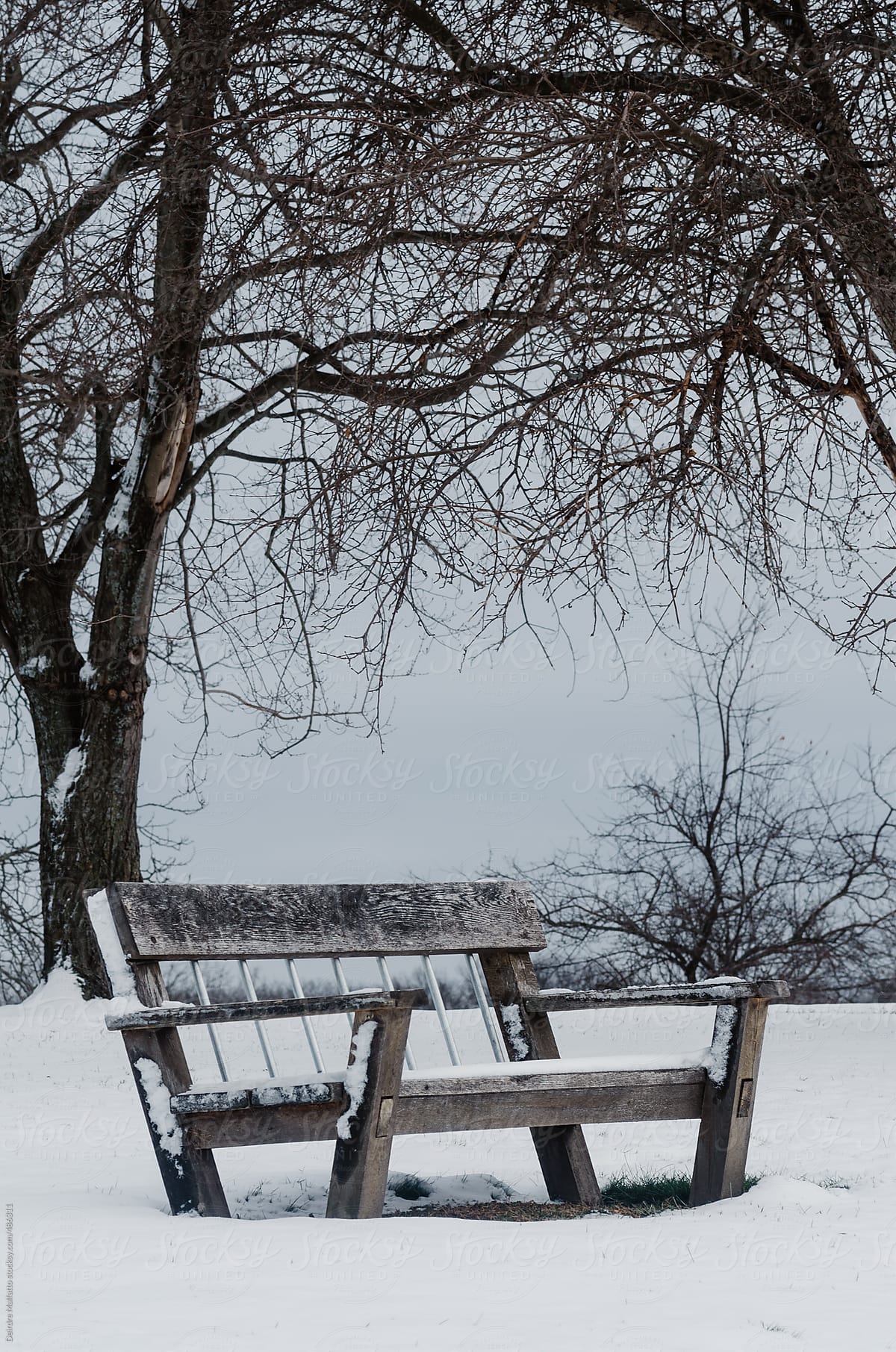 empty bench in snowy landscape