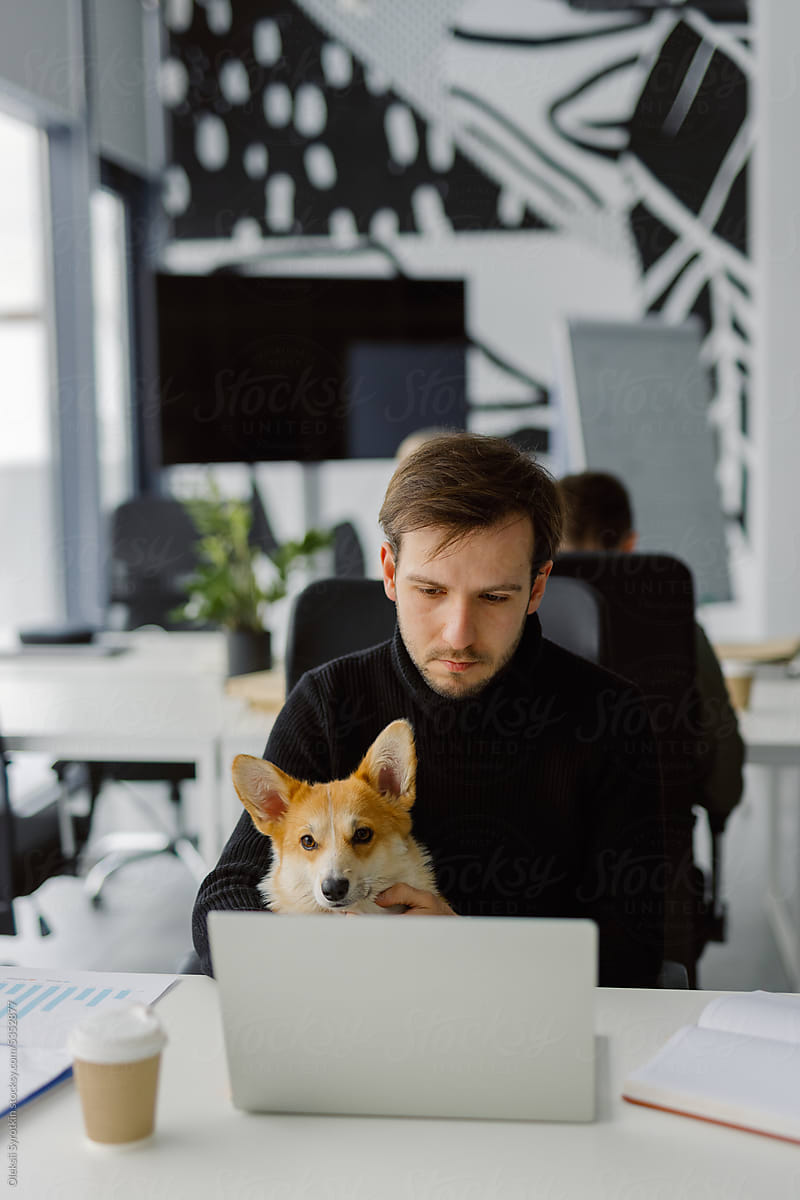 Freelancer pet job laptop owner office friend