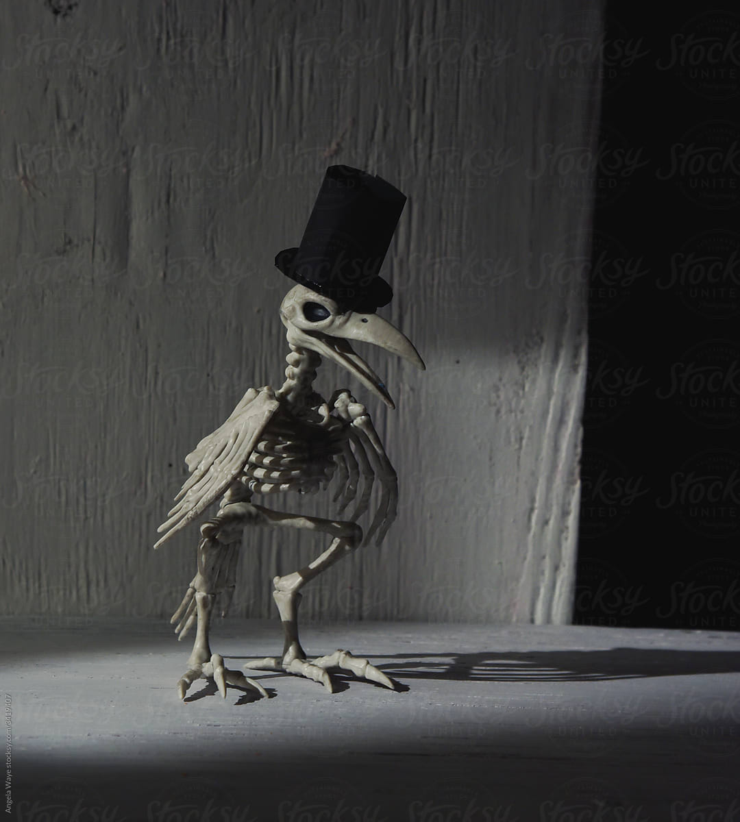 Scary Skeleton Crow Bird with Hat