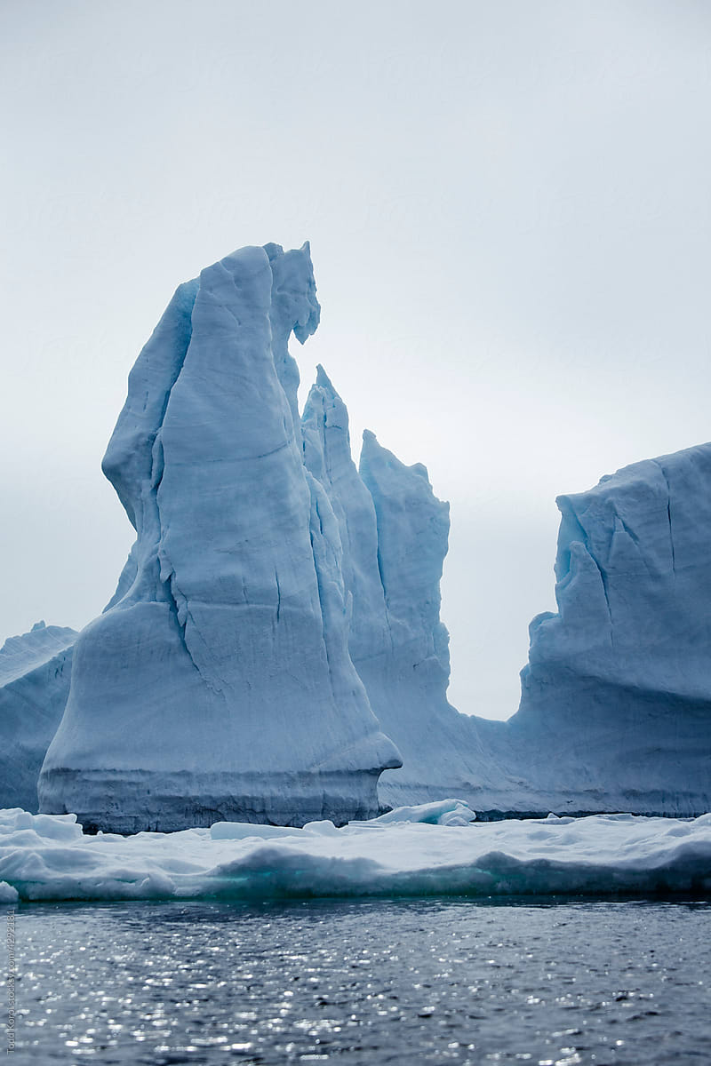 Icebergs floating in the melting sea ice in the Davis Strait.