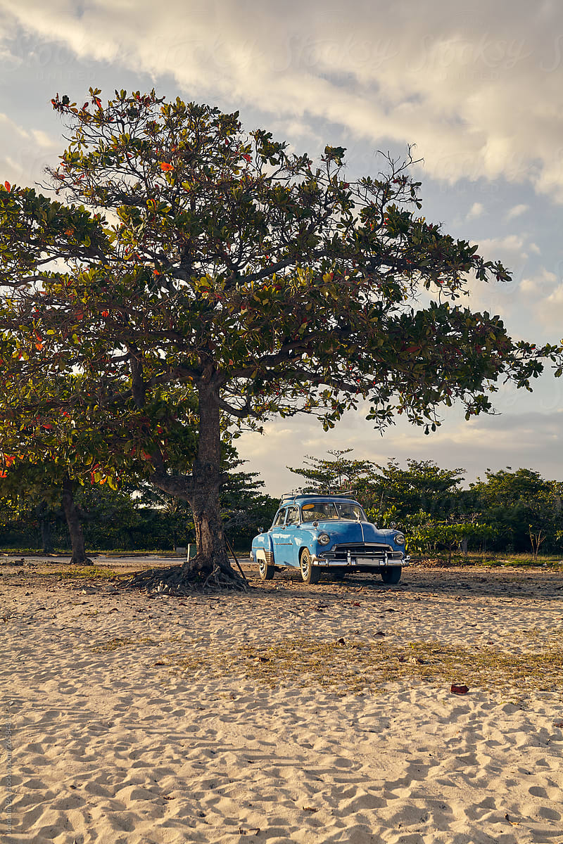Blue vintage car parked under tree in sand