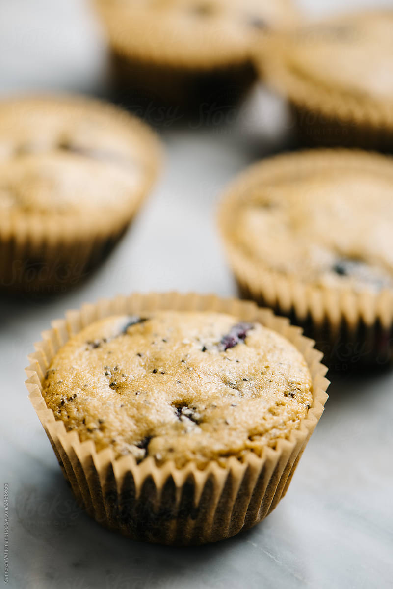 Paleo Blueberry Muffins, close up at an angle