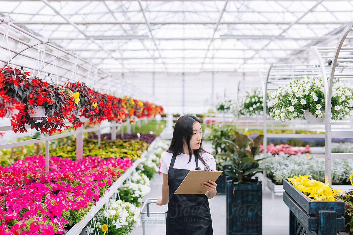 Worker holding check list and searching plants in store