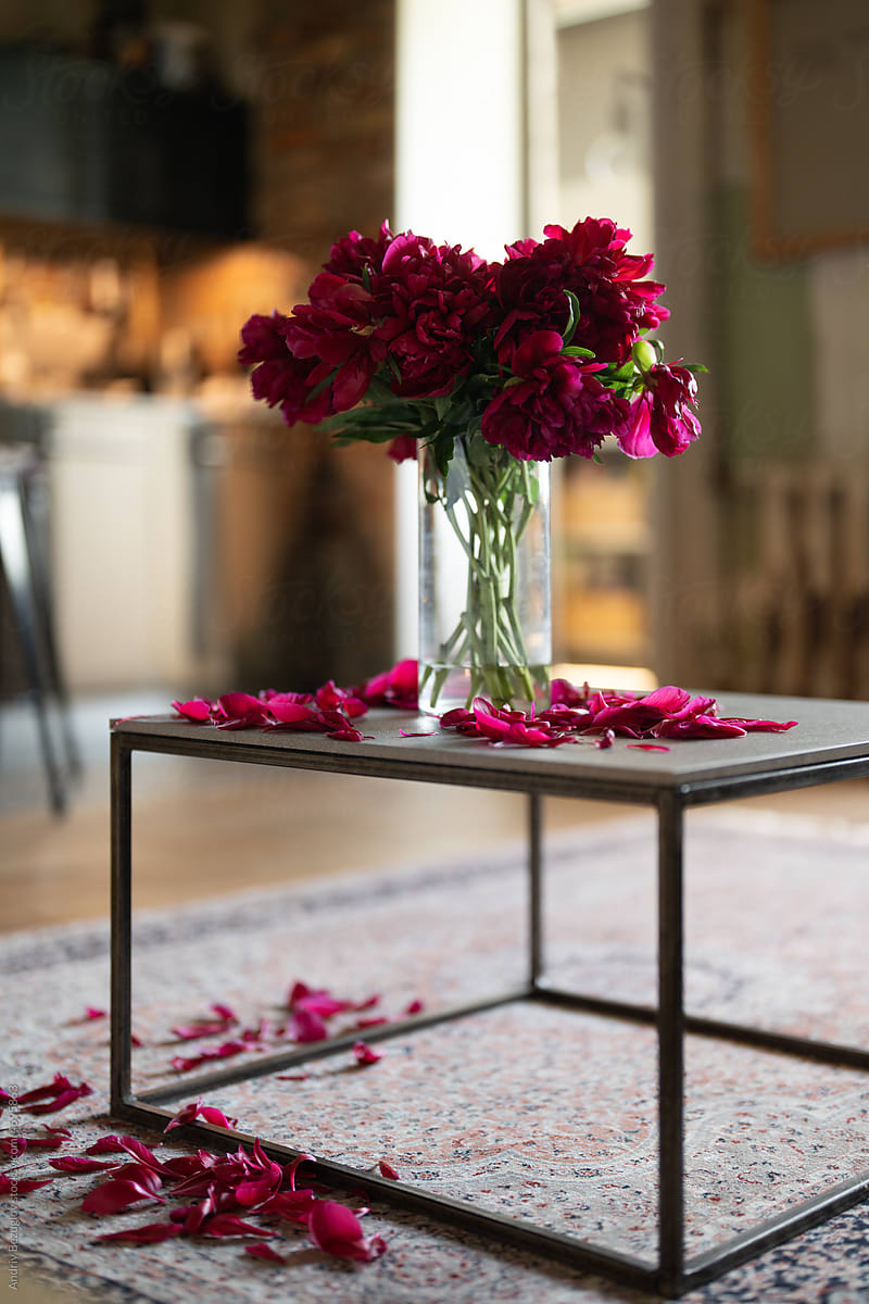 Fading bouquet of bright red peonies on the table in the apartme